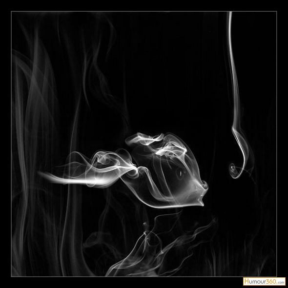 artistic-smoke-photo-22 - Humour360